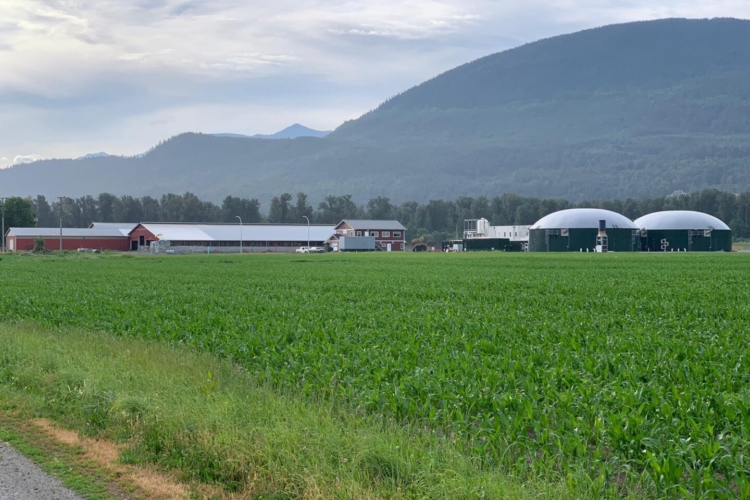 Terugwinnen van nutriënten uit restproduct van biogas