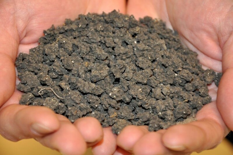Sewage Sludge Disposal in Bavaria